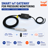 Transmisor de Nivel de Líquido Inteligente NOVA NPL301 Tuya Solar 4G/NB-IoT, 4-20mA, IP68, Kit de Sensor Sumergible