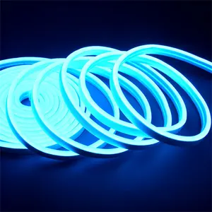 5M Blister 12 Warna Tunggal 6X12Mm DC12V 1Cm Dapat Dipotong Fleksibel Slim Mini Strip Led Neon Light untuk Neon Sign