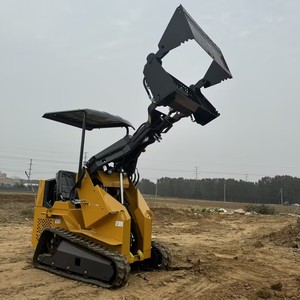 Mini-chargeuse compacte, mini-tracteur, mini-pelleteuse, machine utilitaire compacte pour ferme et jardin - Options - Product Image 1