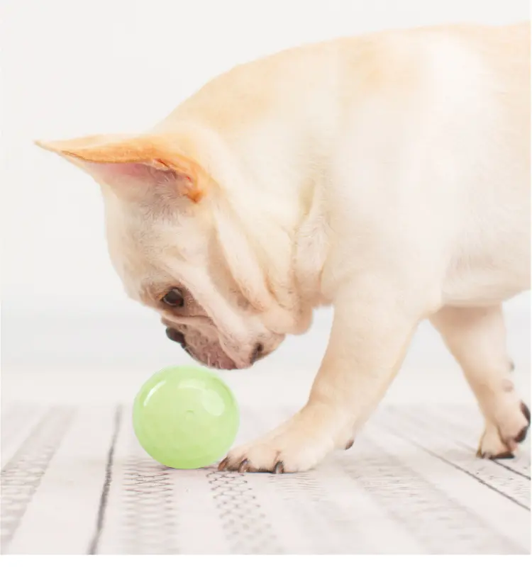अमेज़न सर्वश्रेष्ठ बेच कम MOQ लाइट अप पालतू चमकदार अस्थायी गेंद टिकाऊ अंधेरे में चमक गेंद चबाना कुत्ते Vinyl खिलौने
