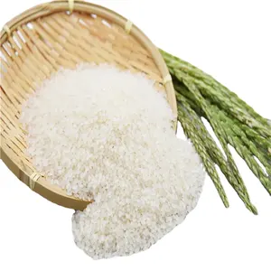 Hot Sale Long Grain 5% Broken Parboiled Rice Jasmine Rice 25kg Package Basmati Rice for sale