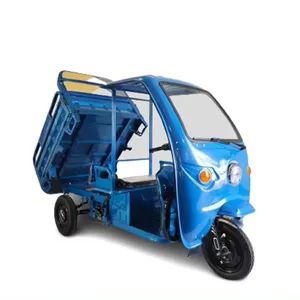 Elion S1 1200W60V45AH EEC COC certification cargo tike 3 wheels cargo tricycle with 600KG Load capacity