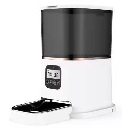 6L Manuel Bouton Version