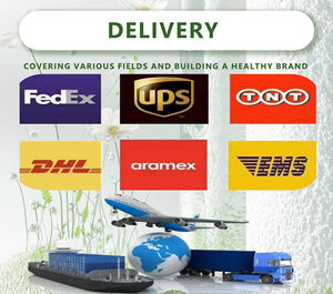 도매 공장 가격 오리지널 홍삼 추출물 10:1 20:1 한국 홍삼 뿌리 추출물 분말 - Product Image 6