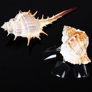 <span class=keywords><strong>Faux</strong></span> ongles transparents naturels pour pédicure, patchs pour les pieds, <span class=keywords><strong>faux</strong></span> ongles, conseils de manucure, lot de 120 pièces/boîte - Product Image 4