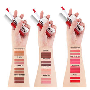 Crayon à lèvres marron de luxe Kit de rouge à lèvres liquide 3 pièces marque privée minéral hydratant mat brillant à lèvres crème longue durée nouveau - Product Image 3