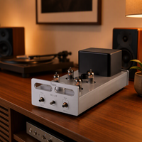 Préamplificateur à tubes professionnel MABLE MS-12B, amplificateur audio haute fidélité, modèle privé fabriqué dans le Guangdong