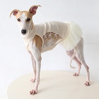 Robe Tutu Décontractée Printemps Petstyle Xingxu Waltz pour Chien de Type Greyhound Italien et Whippet – Tenue Mignonne, Douce et Confortable pour Animaux de Compagnie