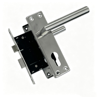 Serrure à mortaise E10 profil européen, poignées en acier inoxydable, cylindre en laiton, corps de serrure à mortaise SABS, vente en gros, ensemble complet, OEM/ODM