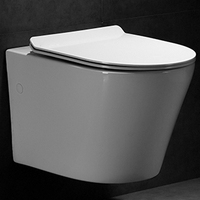 WC mural en céramique de luxe Watermark Italy, design européen moderne, sans bride, siphon en P, couleur mate, WC suspendu