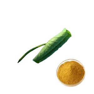 Factory Supply Flavone in Lebensmittel qualität l Nuciferine Blue Lotus Extract Powder Wild kultivierter Kräuter samen zum Abnehmen von Kapseln - Product Image 4