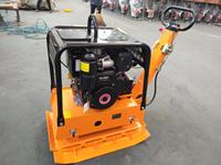 Compacteur à plaques réversible NEAT robuste 38KN 252kg, moteur essence 14HP, modèle C330 70HZ, faible coût d'entretien, roulement à billes