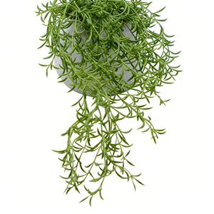 Planta Colgante Artificial de Hierba Crescent en Maceta de Cemento, <span class=keywords><strong>Gloria</strong></span>, Planta Colgante Artificial para Decoración del Hogar y Oficina - Product Image 2