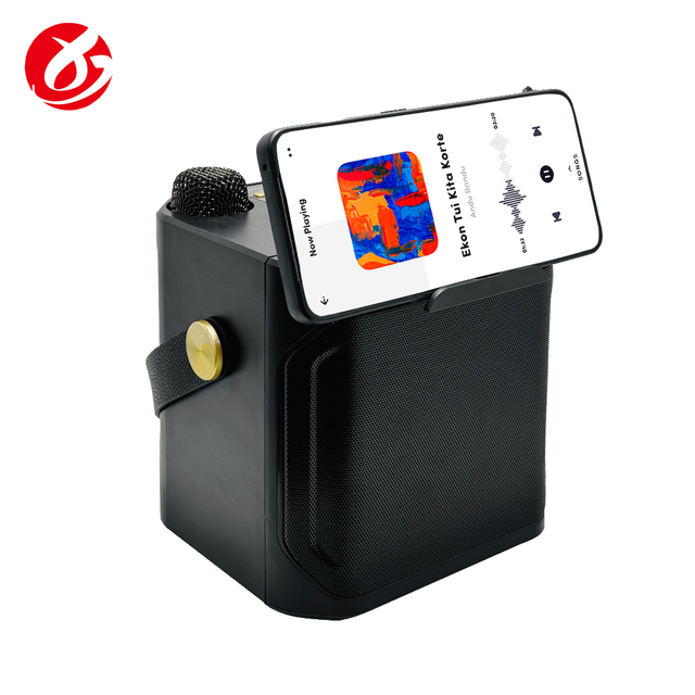 Professional Karaoke Bluetooth Portable Speaker Dual Microphone with Phone Stand WJ-A926