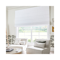Persianas Romanas Automáticas Eléctricas Integradas Populares para Ventanas Francesas - Diseño Moderno