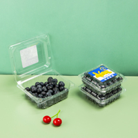 Boîtes d'emballage jetables pour fruits, boîtes à clapet transparentes pour myrtilles, boîtes de protection pour myrtilles en gros