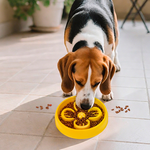 Nuevo Tazón de Alimentación Lenta de PP de Grado Alimenticio 2026, Apto para Comida Seca y Húmeda, Anti-Asfixia, para Perros y Gatos Pequeños y Medianos - Product Image 4