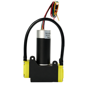 Mini <span class=keywords><strong>pompe</strong></span> à membrane auto-amorçante 24V DC pour applications marines, 5L/min, 55PSI, pour <span class=keywords><strong>bateau</strong></span>, douche, toilettes - Product Image 6