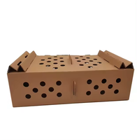 Vente en gros de papier découpé personnalisé pour transport de volaille vivante de compagnie carton ondulé boîte pour poussins