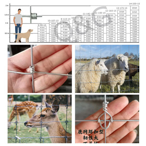 Rouleaux de fil de clôture galvanisé à nœuds fixes de 8' pour chèvre, clôture de terrain agricole, clôture de chasse Veldspan - Product Image 2