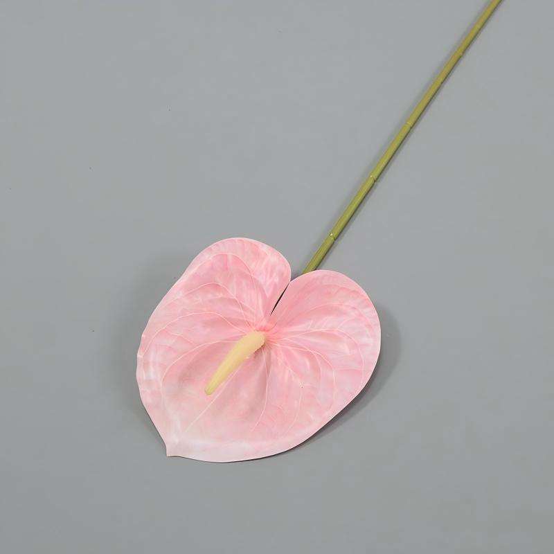 08 สีชมพู