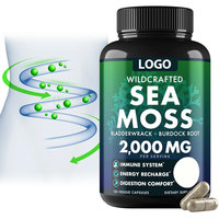 Capsules d'algues irlandaises et de racine de bardane OEM/ODM pour adultes : Santé de la thyroïde, antioxydant, soutien immunitaire, protection de la fonction intestinale