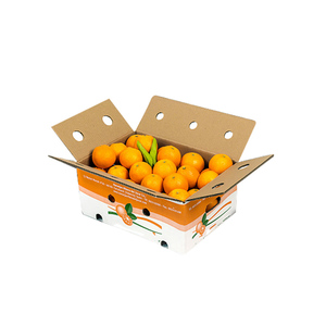 Tùy chỉnh các tông sóng hộp với miếng bọt biển lót Matt cán và ngăn cho trái cây máy bay Rau bột bao bì - Product Image 6