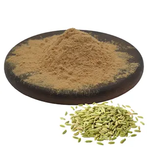 Wholesale Price Fennels Seed Extract Powder Food Grade Fennel Seeds Extract