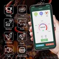 Termometer daging tahan air Digital Bluetooth Cerdas, termometer BBQ dapur nirkabel akurat dengan tampilan aplikasi