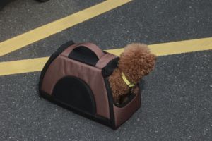 Kediler ve köpekler için dayanıklı Oxford <span class=keywords><strong>Pet</strong></span> seyahat taşıyıcısı taşınabilir nefes çanta - Product Image 5