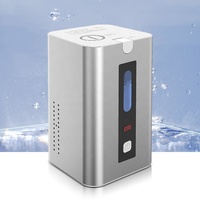 PEM Portable Hydrogen Generator