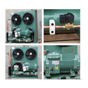 New 380V Complete Cold <strong>Storage</strong> Equipment <strong>Low</strong> Temperature Semi-Hermetic Piston Air-Cooled <strong>Unit</strong> - Product Image 4