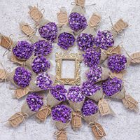 L14 grosir Gypsophila diawetkan & dekorasi buket bunga kering Mini untuk rumah, acara pernikahan