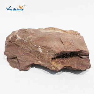 Natural sandstone and shale specimen; transitional lithology of sandy and argillaceous material; clear bedding structure; - Product Image 5