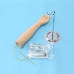 avanzada entrenamiento maniquí la mitad del cuerpo para Demonsation inyección de plástico molde de inyección de modelo de tren - Product Image 5