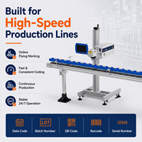 Machine de marquage laser à fibre pour usine alimentaire et de boissons, nouvelle, compatible DXF, haute précision, type portique, CE ISO