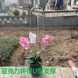 Support de <span class=keywords><strong>plante</strong></span> en <span class=keywords><strong>grille</strong></span> transparente en forme de U de 18 pouces, <span class=keywords><strong>grille</strong></span> de <span class=keywords><strong>plante</strong></span> ronde en acrylique transparente <span class=keywords><strong>pour</strong></span> plantes grimpantes, vente chaude - Product Image 3