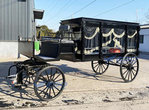 Coche fúnebre eléctrico clásico negro económico de alta calidad, <span class=keywords><strong>remolque</strong></span> de un solo <span class=keywords><strong>eje</strong></span>, coche fúnebre eléctrico tirado por caballos, transporte especial, gran oferta - Product Image 4