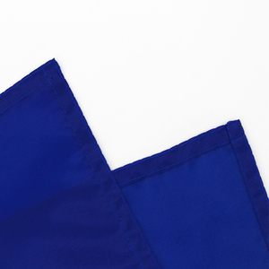 Listo para enviar 100% Poliéster 3x5ft Stock Histórico República del oeste de <span class=keywords><strong>Florida</strong></span> Bonnie Bandera azul - Product Image 4