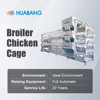 Système automatique de cages pour poulets de chair avec système d'évacuation du fumier et d'alimentation, équipement d'élevage avicole multi-niveaux 3-6 étages