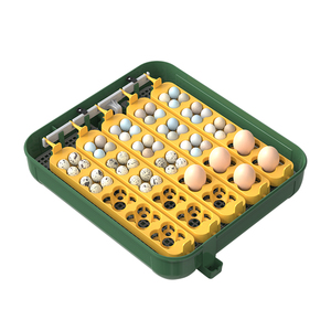 63 Công Suất Tự Động Trứng Máy Quay Lồng Ấp <span class=keywords><strong>Hatcher</strong></span> Cho Chick Chim Cút Ngỗng Với Kiểm Soát Nhiệt Độ - Product Image 4