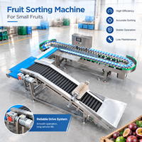Direct Supply Box Sorteermachine Aangepaste Sorteeroplossing voor Passievruchten en Diverse Tropische Fruitplanten