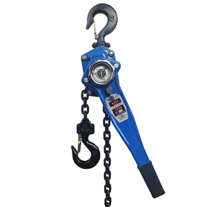0.5 Tấn 1 Tấn 1.5 Tấn 2 Tấn 3 Tấn 5 Tấn Của Nhãn Hiệu Nâng Palăng Chuỗi Ròng Rọc Khối - Product Image 4