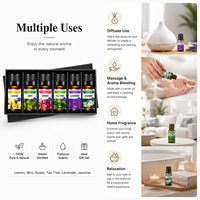 Lot de 6 Huiles Essentielles Pures en Promotion – Coffret Cadeau d'Aromathérapie Parfum Lavande – Liquide Écologique pour Diffuseur Domestique et Fabrication de Bougies