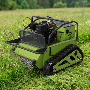 Tondeuse à gazon verte économique à télécommande 550 mm pour terrains de golf, à essence, certifiée EPA - Product Image 2