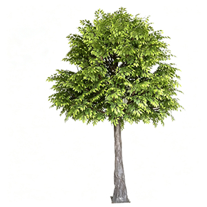 Ensemble de simulation personnalisé pour arbres artificiels en chêne, décoration intérieure, matériau PE ignifuge, résistant aux UV - Product Image 1