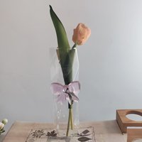 Vase à fleurs hydroponique en verre clair de conception irrégulière créative Offre Spéciale avec nœud papillon rose décor à la maison Style Art déco