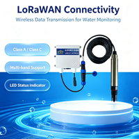 Capteur d'ions calcium Ca2+ LoRaWAN, analyseur de qualité de l'eau sans fil pour sites industriels éloignés