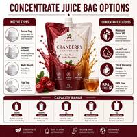 Pochette personnalisée en PE de qualité alimentaire avec bec verseur pour jus, sachet concentré autoportant en aluminium anti-humidité