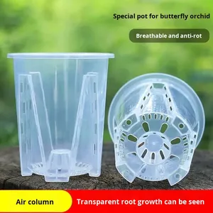 Vaso <span class=keywords><strong>per</strong></span> Fiori P374 Verde Trasparente a Forma di Montagna, Vaso Grande in Plastica Speciale Traspirante e Cavo <span class=keywords><strong>per</strong></span> Orchidee e Muschio Sfagno - Product Image 2